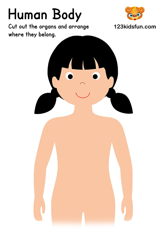 Human Body Printables Homeschooling 123 Kids Fun Apps