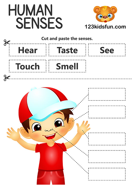Human Body Printables - 5 Senses – Homeschooling | 123 Kids Fun Apps