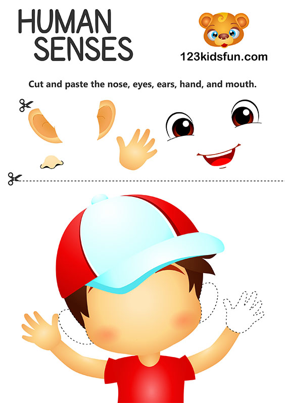 Human Body - 5 Senses Printables for Kids – Homeschooling