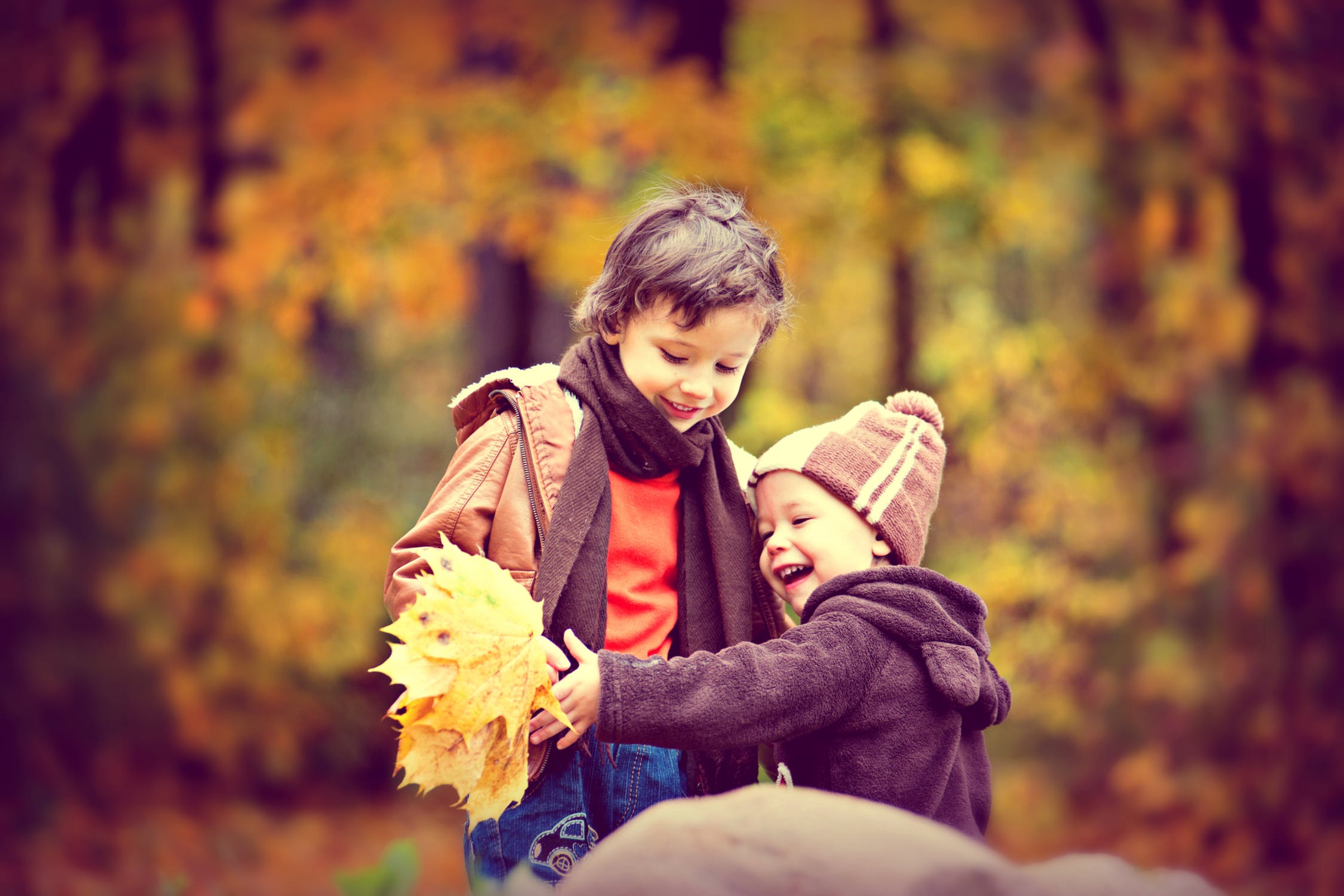 Best 10 Fall Activities For Toddlers 123 Kids Fun Apps